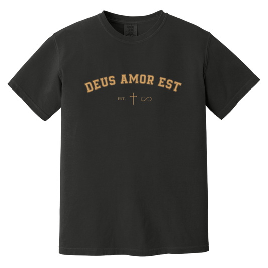 Pump Cover/Oversized Tee | Deus Amor Est "Est. Infinity"